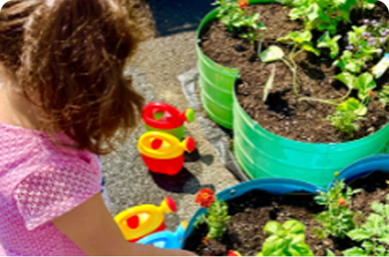 Gardening Program Image